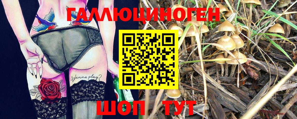 Псилоцибиновые грибы Psilocybine cubensis Шумерля