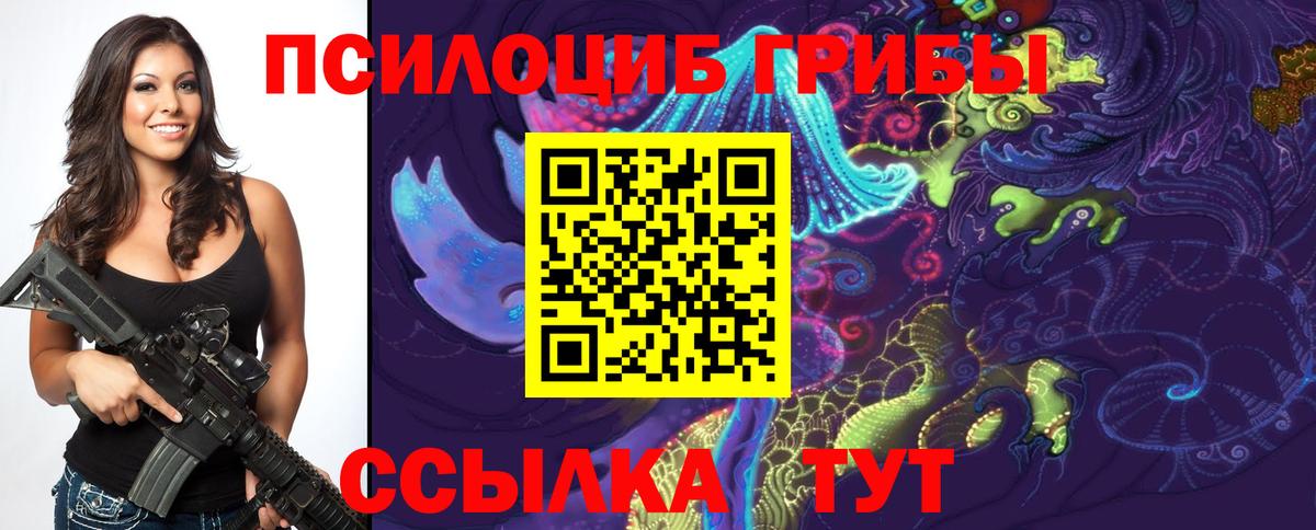 Галлюциногенные грибы мицелий  Вход с VPN  Шумерля  Галлюциногенные грибы прущие грибы 
